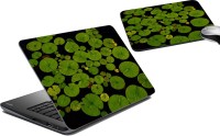 meSleep Water Plants LSPD-16-63 Combo Set(Multicolor)   Laptop Accessories  (meSleep)