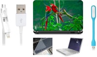 Print Shapes Red parrots Combo Set(Multicolor)   Laptop Accessories  (Print Shapes)