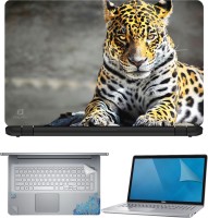 FineArts Leopard 4 in 1 Laptop Skin Pack with Screen Guard, Key Protector and Palmrest Skin Combo Set(Multicolor)   Laptop Accessories  (FineArts)