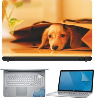 FineArts Dog in Bag 4 in 1 Laptop Skin Pack with Screen Guard, Key Protector and Palmrest Skin Combo Set(Multicolor)   Laptop Accessories  (FineArts)