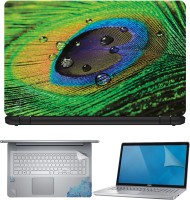 FineArts Peacock Feather with Drop 2 4 in 1 Laptop Skin Pack with Screen Guard, Key Protector and Palmrest Skin Combo Set(Multicolor)   Laptop Accessories  (FineArts)