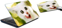 meSleep Cat Laptop Skin And Mouse Pad 261 Combo Set(Multicolor)   Laptop Accessories  (meSleep)