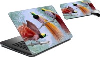 meSleep Birds LSPD-21-040 Combo Set(Multicolor)   Laptop Accessories  (meSleep)