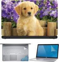 FineArts Cute Dog Wooden Back 4 in 1 Laptop Skin Pack with Screen Guard, Key Protector and Palmrest Skin Combo Set(Multicolor)   Laptop Accessories  (FineArts)