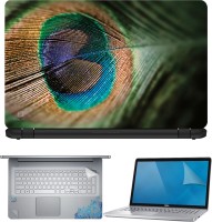 FineArts Peacock Feather 4 in 1 Laptop Skin Pack with Screen Guard, Key Protector and Palmrest Skin Combo Set(Multicolor)   Laptop Accessories  (FineArts)