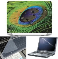 FineArts Peacock Feather with Drop 2 3 in 1 Laptop Skin Pack With Screen Guard & Key Protector Combo Set(Multicolor)   Laptop Accessories  (FineArts)