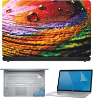 View FineArts Peacock Feather with Drop 3 4 in 1 Laptop Skin Pack with Screen Guard, Key Protector and Palmrest Skin Combo Set(Multicolor) Laptop Accessories Price Online(FineArts)