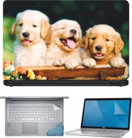 FineArts Three Dog on Table 4 in 1 Laptop Skin Pack with Screen Guard, Key Protector and Palmrest Skin Combo Set(Multicolor)   Laptop Accessories  (FineArts)