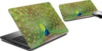 meSleep Peacock LSPD-23-26 Combo Set(Multicolor)   Laptop Accessories  (meSleep)