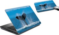 meSleep Whale LSPD-21-173 Combo Set(Multicolor)   Laptop Accessories  (meSleep)