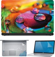 FineArts Peacock Feather with Drop 1 4 in 1 Laptop Skin Pack with Screen Guard, Key Protector and Palmrest Skin Combo Set(Multicolor)   Laptop Accessories  (FineArts)