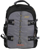 Dafter 15.6 inch Laptop Backpack(Grey, Black)