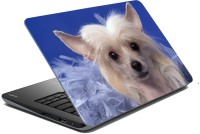 meSleep Dog LS-57-157 Vinyl Laptop Decal 15.6   Laptop Accessories  (meSleep)