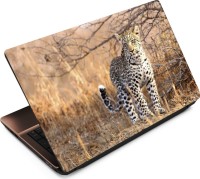 Anweshas Leopard LP030 Vinyl Laptop Decal 15.6   Laptop Accessories  (Anweshas)