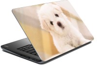 meSleep Dog 70-713 Vinyl Laptop Decal 15.6   Laptop Accessories  (meSleep)