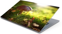 Lovely Collection Lonely mushroom Vinyl Laptop Decal 15.6   Laptop Accessories  (Lovely Collection)