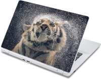 ezyPRNT Tiger removing Snow Wildlife (13 to 13.9 inch) Vinyl Laptop Decal 13   Laptop Accessories  (ezyPRNT)