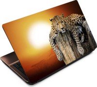 Anweshas Tiger T076 Vinyl Laptop Decal 15.6   Laptop Accessories  (Anweshas)