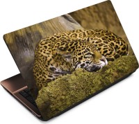 Anweshas Leopard LP038 Vinyl Laptop Decal 15.6   Laptop Accessories  (Anweshas)