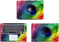 Swagsutra Feathered Colours Full body SKIN/STICKER Vinyl Laptop Decal 15   Laptop Accessories  (Swagsutra)