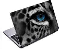ezyPRNT Hypnotizing Blue Eyes Wildlife (14 to 14.9 inch) Vinyl Laptop Decal 14   Laptop Accessories  (ezyPRNT)