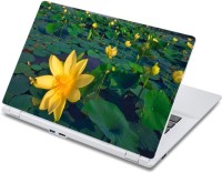 ezyPRNT Flowers in Pond (13 to 13.9 inch) Vinyl Laptop Decal 13   Laptop Accessories  (ezyPRNT)