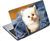 ezyPRNT White Cat Close up (14 to 14.9 inch) Vinyl Laptop Decal 14   Laptop Accessories  (ezyPRNT)