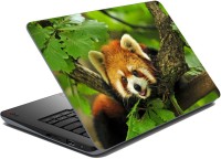 meSleep Panda 67-136 Vinyl Laptop Decal 15.6   Laptop Accessories  (meSleep)