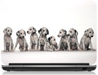Box 18 Pet Dog'S1365 Vinyl Laptop Decal 15.6   Laptop Accessories  (Box 18)