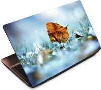 Anweshas Leaf on Grass Vinyl Laptop Decal 15.6   Laptop Accessories  (Anweshas)