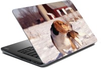 meSleep Dog LS-57-147 Vinyl Laptop Decal 15.6   Laptop Accessories  (meSleep)