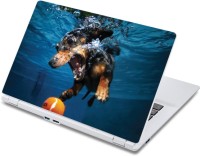 ezyPRNT Under water Sports Pet Animal (13 to 13.9 inch) Vinyl Laptop Decal 13   Laptop Accessories  (ezyPRNT)