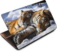 Anweshas Tiger T090 Vinyl Laptop Decal 15.6   Laptop Accessories  (Anweshas)