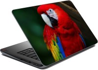 meSleep Parrot 67-265 Vinyl Laptop Decal 15.6   Laptop Accessories  (meSleep)