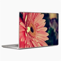 Theskinmantra Flower Fresh Laptop Decal 14.1   Laptop Accessories  (Theskinmantra)