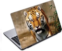 ezyPRNT Tiger's Royal Moves Wildlife (14 to 14.9 inch) Vinyl Laptop Decal 14   Laptop Accessories  (ezyPRNT)