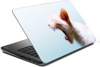 meSleep Cat 70-593 Vinyl Laptop Decal 15.6   Laptop Accessories  (meSleep)