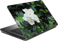 meSleep Floral LS-24-011 Vinyl Laptop Decal 15.6   Laptop Accessories  (meSleep)