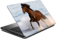 meSleep Horse 70-271 Vinyl Laptop Decal 15.6   Laptop Accessories  (meSleep)