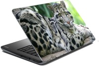 meSleep White Tiger 70-319 Vinyl Laptop Decal 15.6   Laptop Accessories  (meSleep)