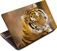 Anweshas Tiger T038 Vinyl Laptop Decal 15.6   Laptop Accessories  (Anweshas)