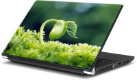 ezyPRNT The Blooming Plant (15 to 15.6 inch) Vinyl Laptop Decal 15   Laptop Accessories  (ezyPRNT)