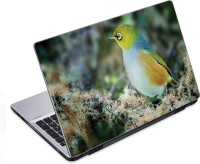 ezyPRNT Cute Bird Sit (14 to 14.9 inch) Vinyl Laptop Decal 14   Laptop Accessories  (ezyPRNT)