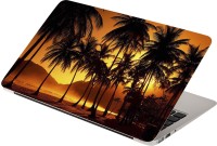 Anweshas Sun Set Tree Vinyl Laptop Decal 15.6   Laptop Accessories  (Anweshas)
