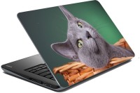 meSleep Cat 70-543 Vinyl Laptop Decal 15.6   Laptop Accessories  (meSleep)