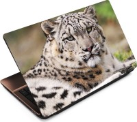 Anweshas Leopard LP002 Vinyl Laptop Decal 15.6   Laptop Accessories  (Anweshas)