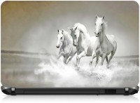 Box 18 White Horses1501 Vinyl Laptop Decal 15.6   Laptop Accessories  (Box 18)