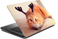 meSleep Cat 70-629 Vinyl Laptop Decal 15.6   Laptop Accessories  (meSleep)