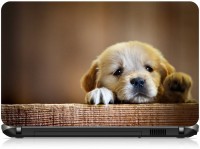 Box 18 Innocent Puppy1544 Vinyl Laptop Decal 15.6   Laptop Accessories  (Box 18)