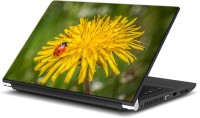 ezyPRNT Ladybird on Yellow Flower Nature (15 to 15.6 inch) Vinyl Laptop Decal 15   Laptop Accessories  (ezyPRNT)